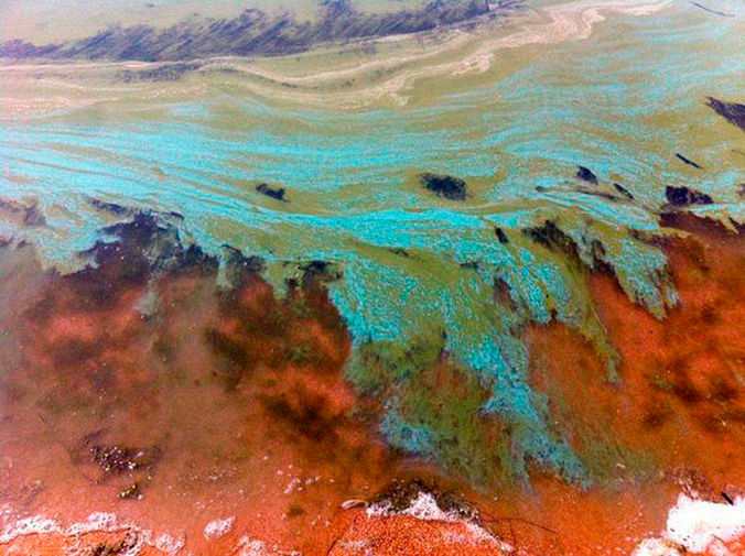 На побережье Байкала жители обнаружили гниющие пятна взято из соц.сети