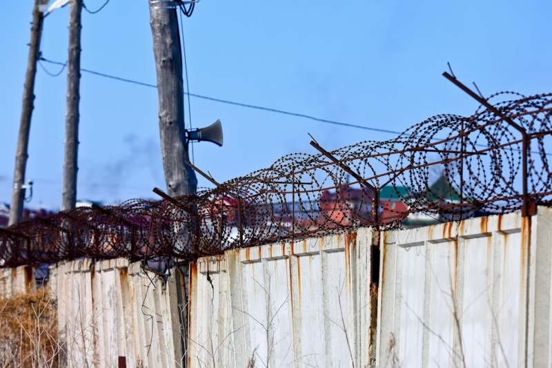 Проволока Балашов Антон, PrimaMedia