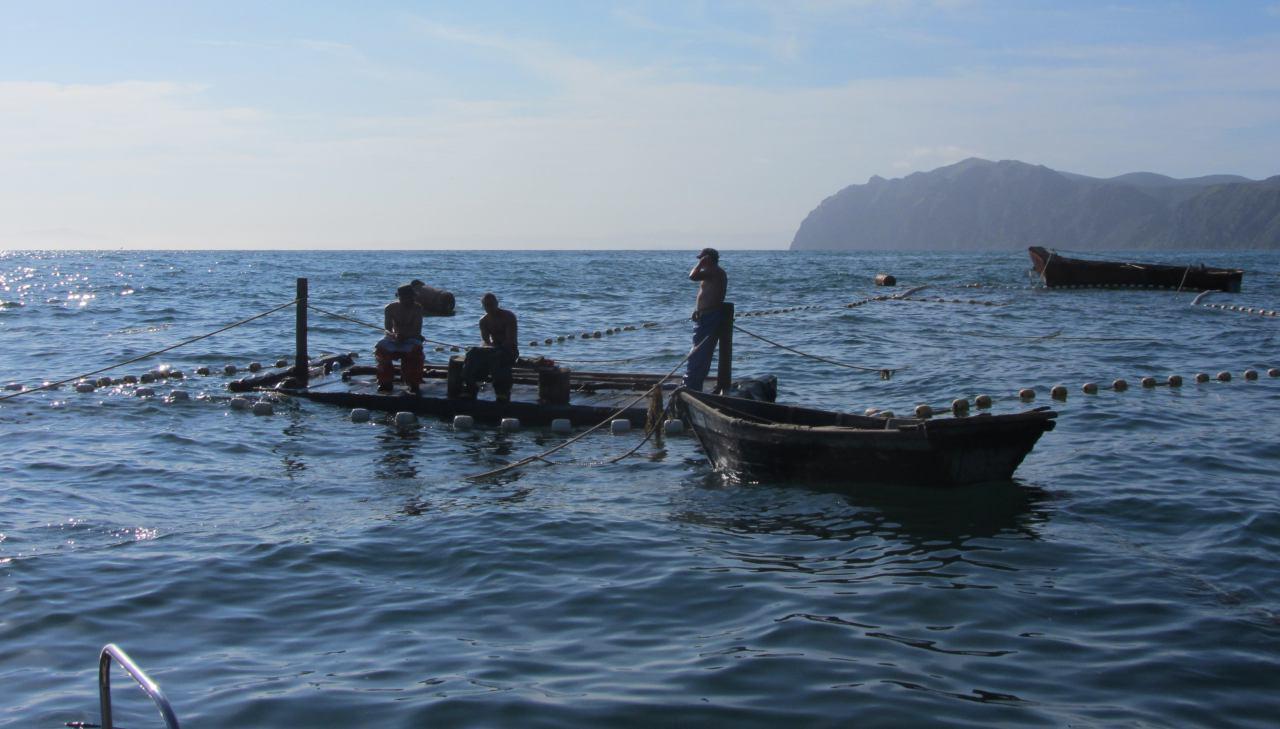 Отдать часть полномочий Росрыболовства регионам предложили Дальневосточные губернаторы Игорь Черный