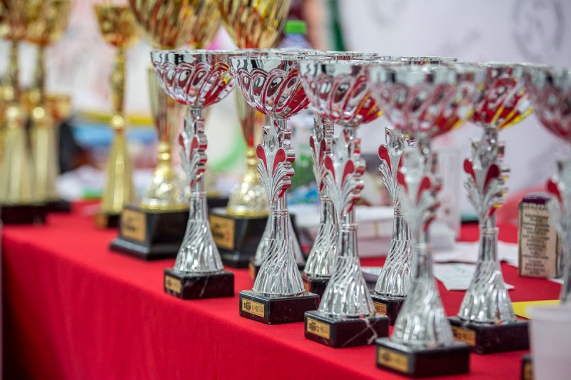 Кубки Александр Ратников, РИА PrimaMedia