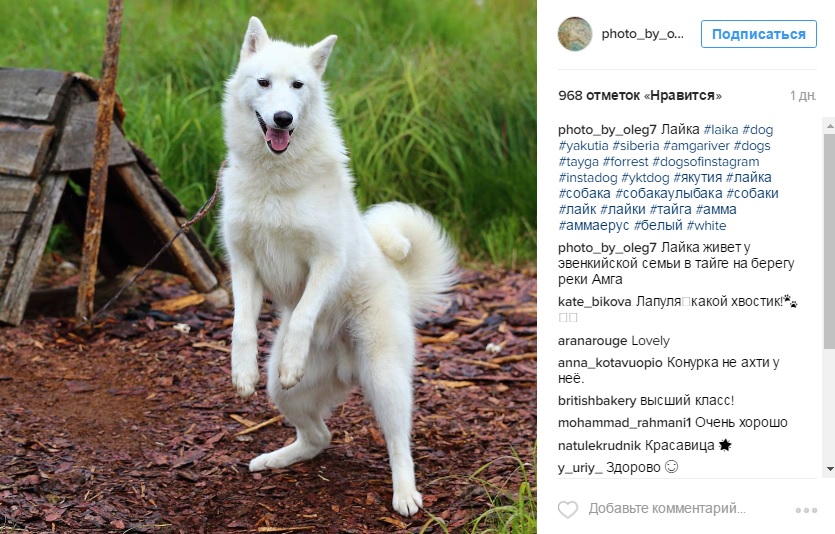 Лучшие фотографии Якутии за неделю из Instagram