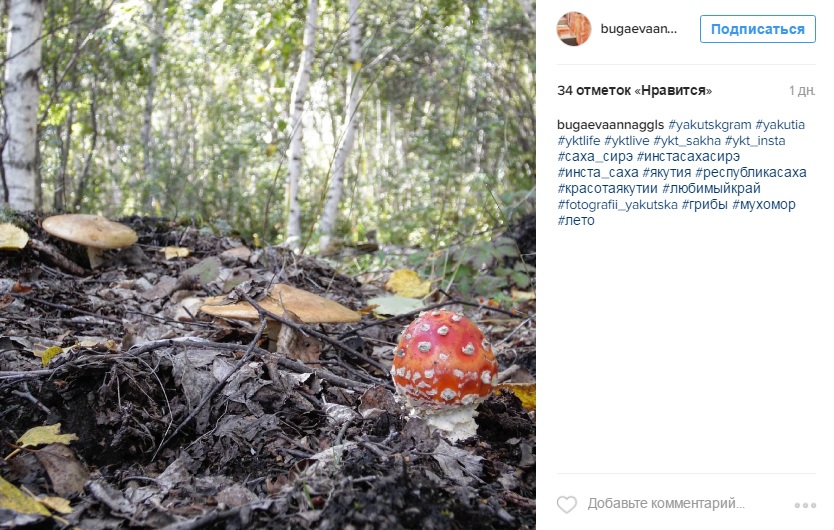 Лучшие фотографии Якутии за неделю из Instagram