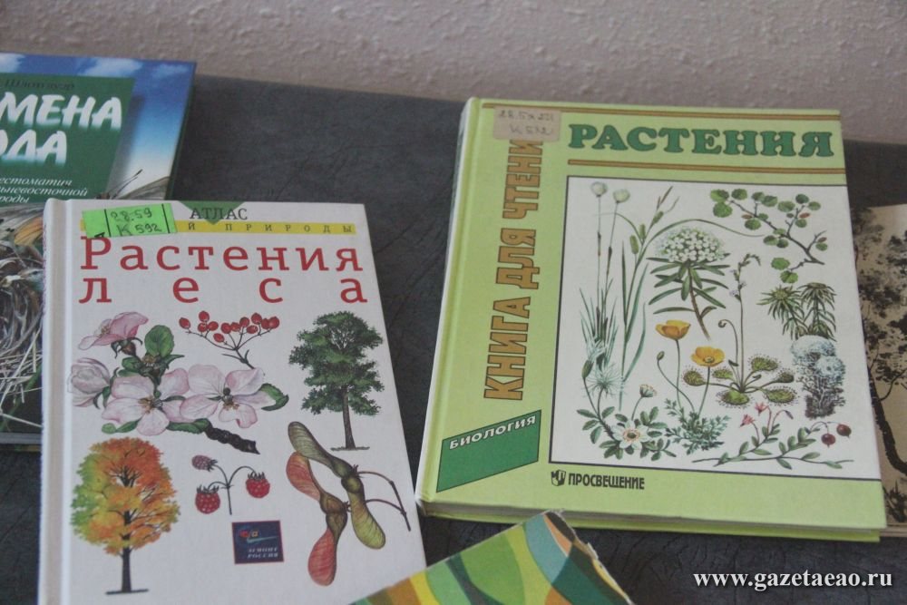 Выставку в областной библиотеке посвятили растениям Дальнего Востока Редакция газеты &quotБиробиджанская звезда&quot