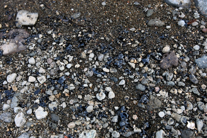 Коммунальщики отравили 2 га земли мышьяком РИА PrimaMedia