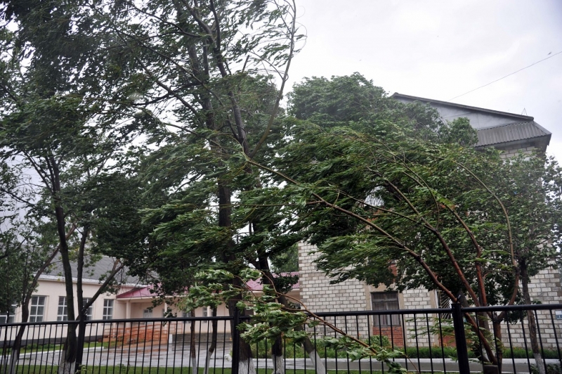 Ураган  Гуршал Юрий, SakhalinMediа