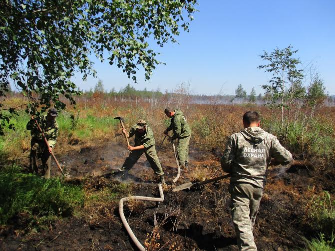 Тушение торфяников Пресс-служба Агентства лесного хозяйства Бурятии 