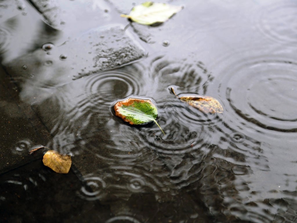 Дождь Оленникова Мария, IrkutskMedia