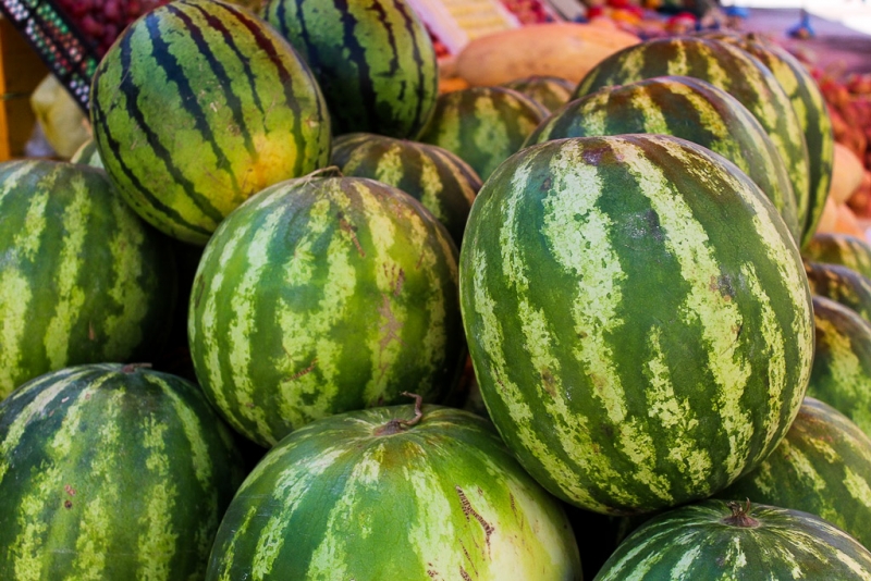 Арбузы ИА MagadanMedia