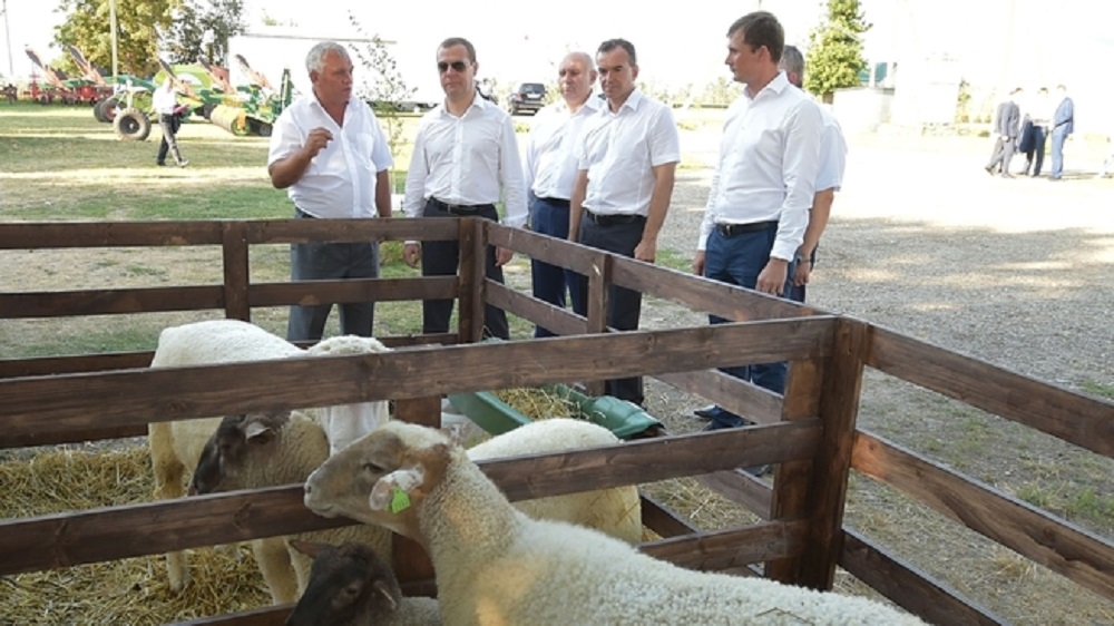 Дмитрий Медведев побывал на Кубани