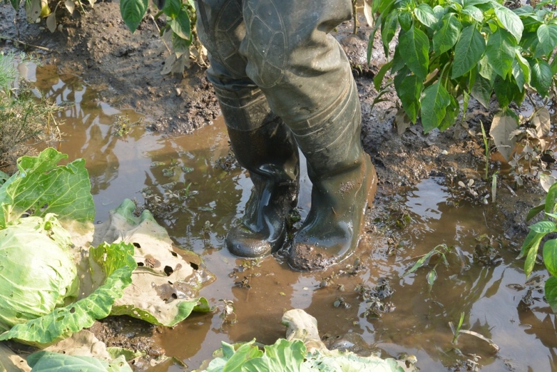Резиновые сапоги помогут жителям Бурятии  Баграновская Наталья, EAOmedia