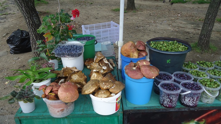 Неопознанные грибные трофеи продаются на улицах Хабаровска