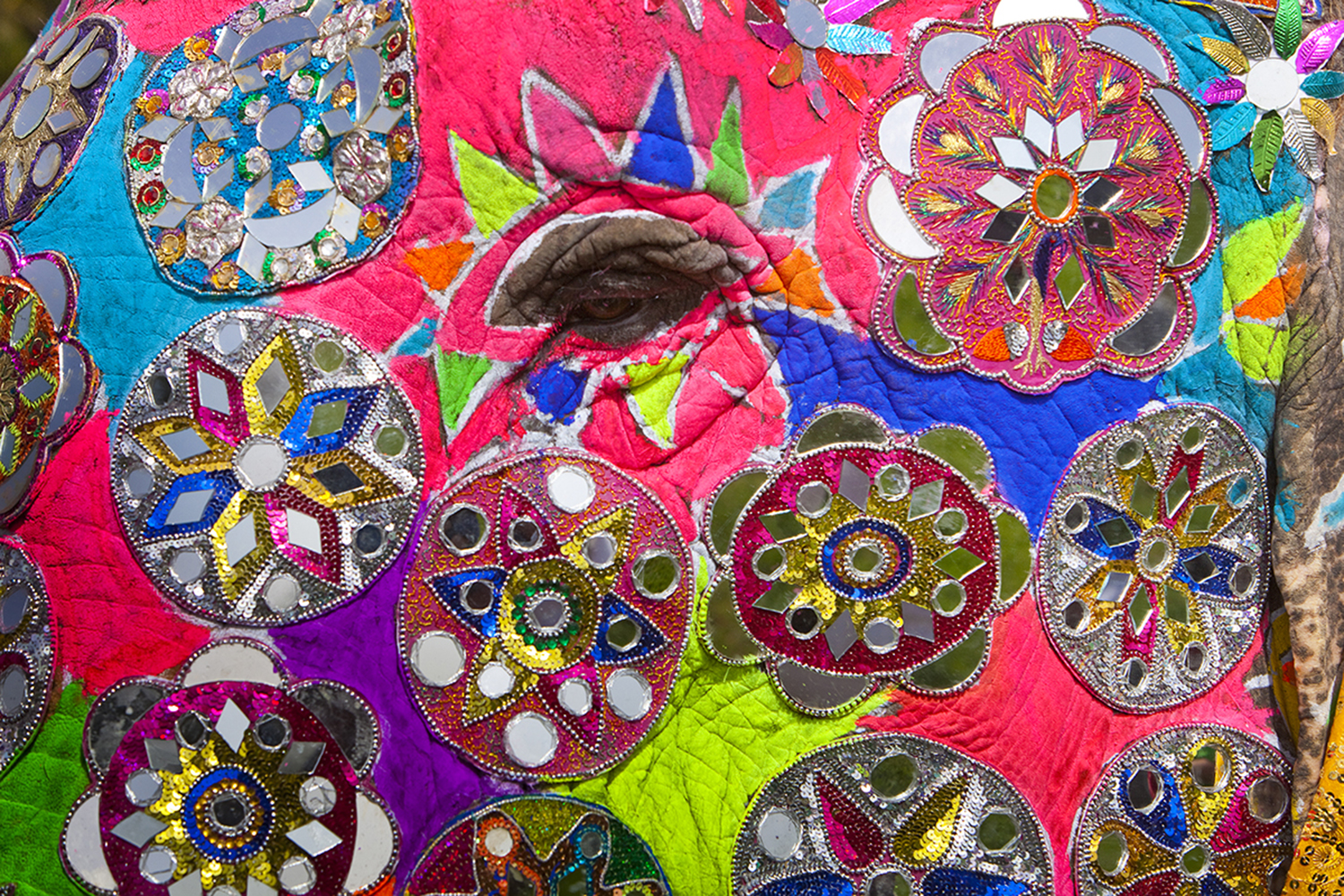 Фотография Пресс-служба Минкультуры Бурятии