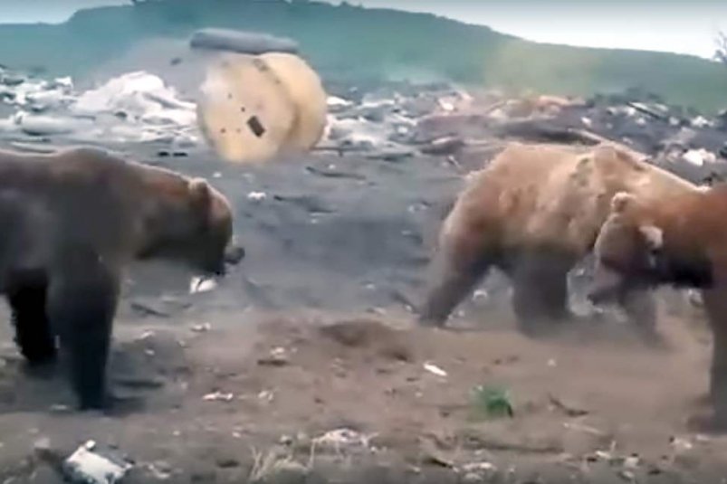 Итоги недели