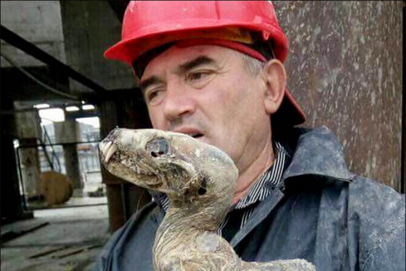 Неделя с ЯкутияМедиа