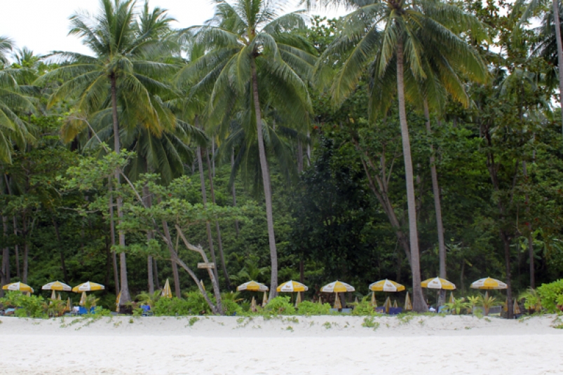 Неделя с ЯкутияМедиа