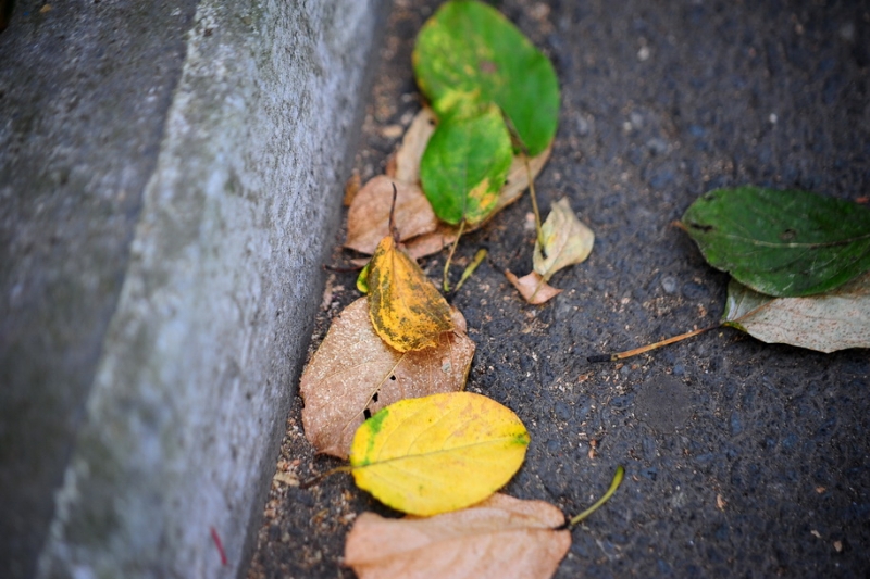 Качество дорог в Бурятии улучшается Орлов Сергей, PrimaMedia