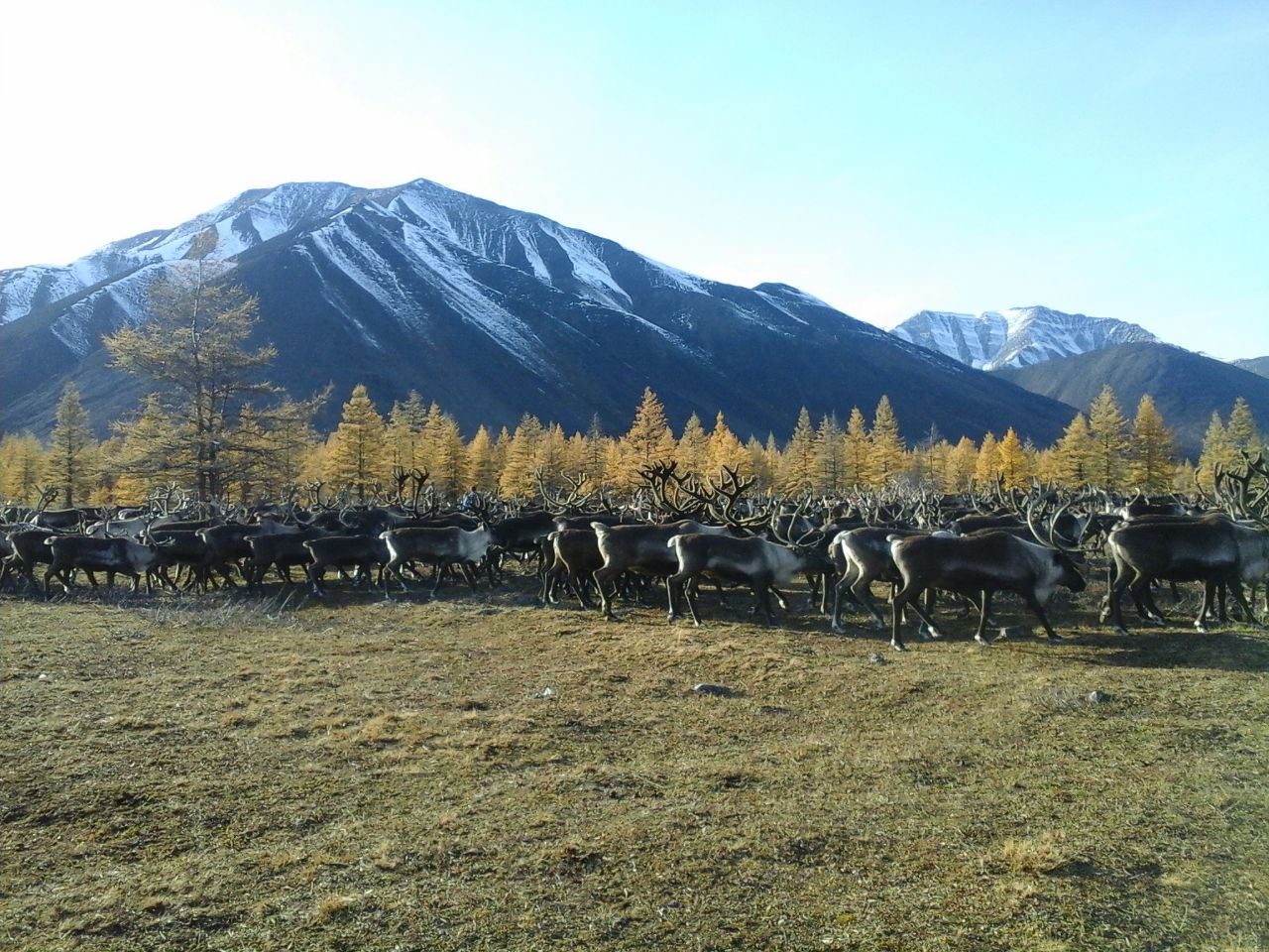 Браконьер заплатит штраф в Якутии ПримаМедия