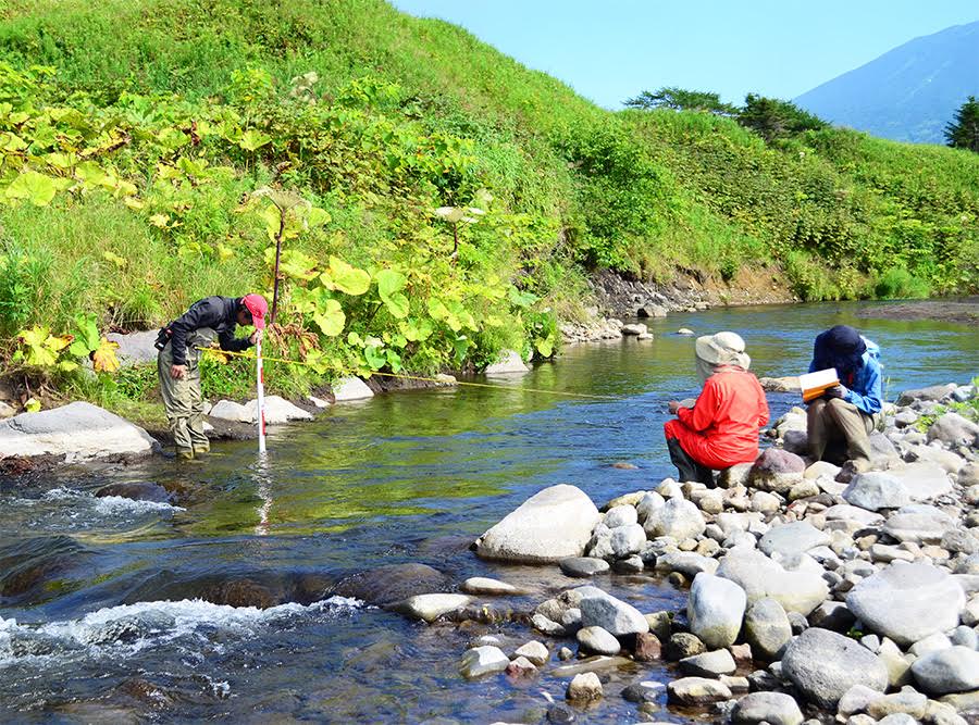 Исследования Пресс-служба заповедника &quotКурильский&quot