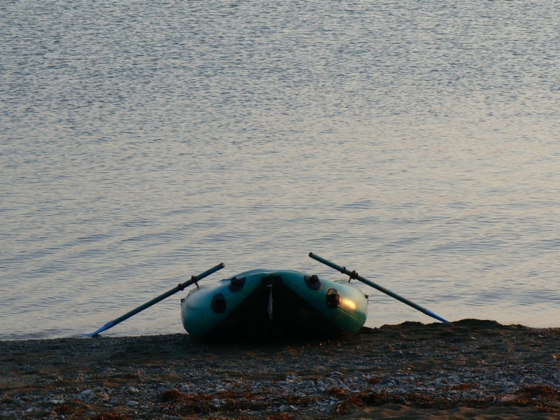 Море Кокарева Варвара, PrimaMedia