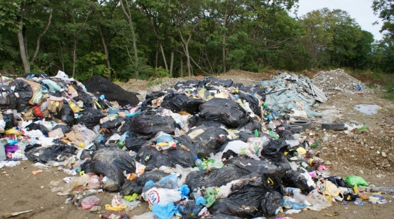 Свалка Ланин Сергей, PrimaMedia