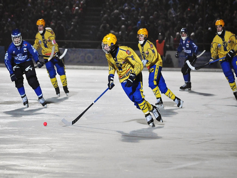 Смету на постройку ледового дворца в Биробиджане скорректируют за 425 тысяч рублей из архива