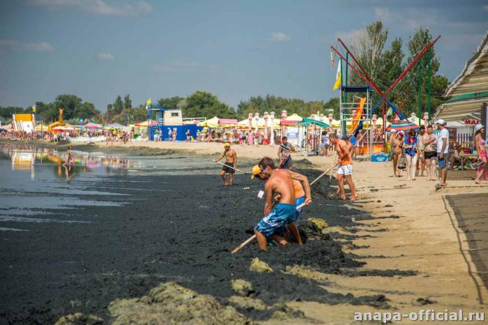Тоннами выброшенных на берег водорослей завалены пляжи Анапы С официального сайта администрации города Анапа