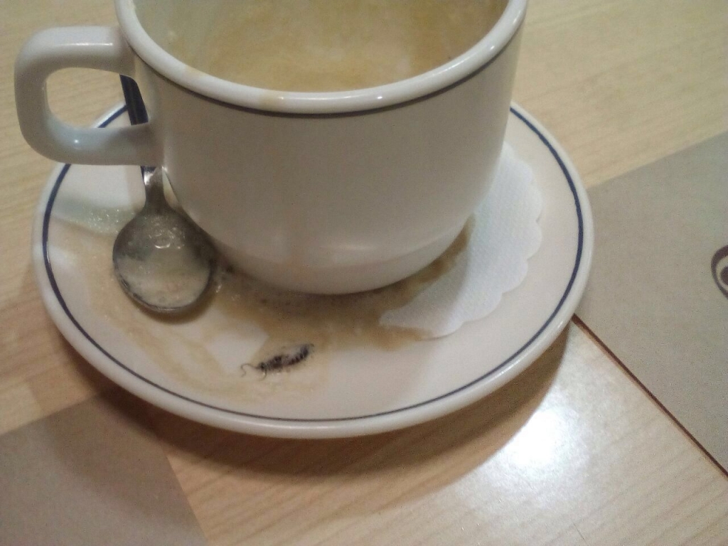 Таракан в чашке кофе