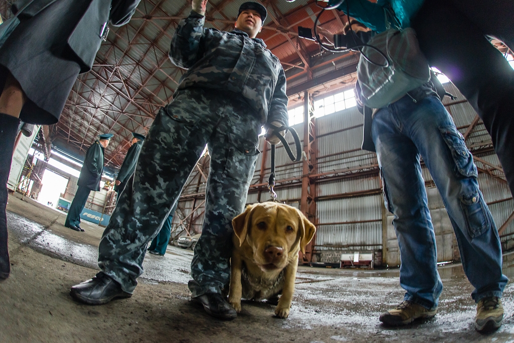 Житель Улан-Удэ &quotзаминировал&quot здание следкома Крылов Александр, MagadanМedia