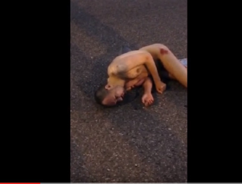 Мужчину в скандальном &quotкостюме Адама&quot не заметил на дороге водитель в Сочи Кад из видео с видеохостинга Youtube, автор Максим Иванов