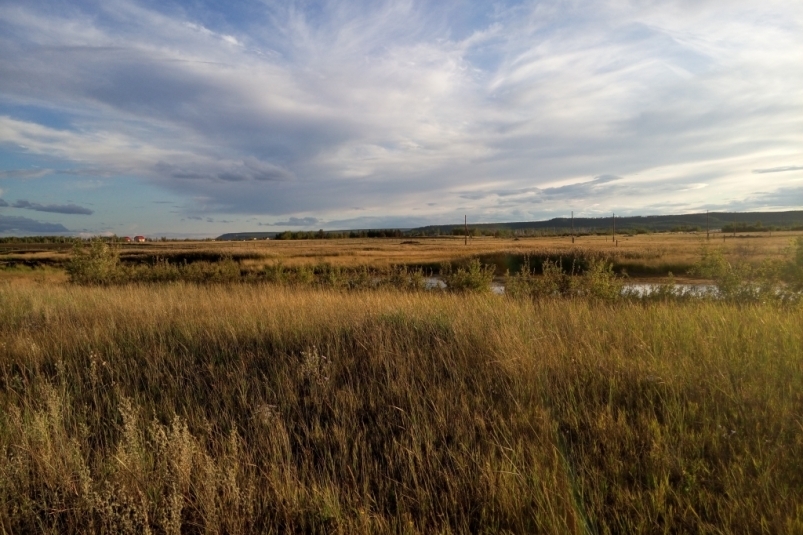 дальневосточный гектар Нюргуяна Иванова