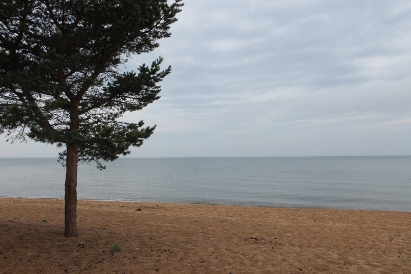 Байкал Василий Тараруев, UlanMedia