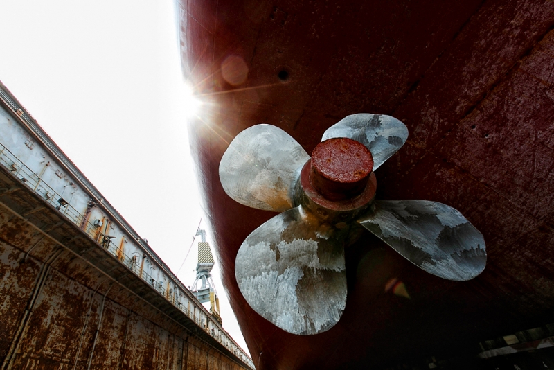 Черную икру в вентиляционном отсеке судна пытались провезти в Хабаровск  Александр Хитров, РИА PrimaMedia