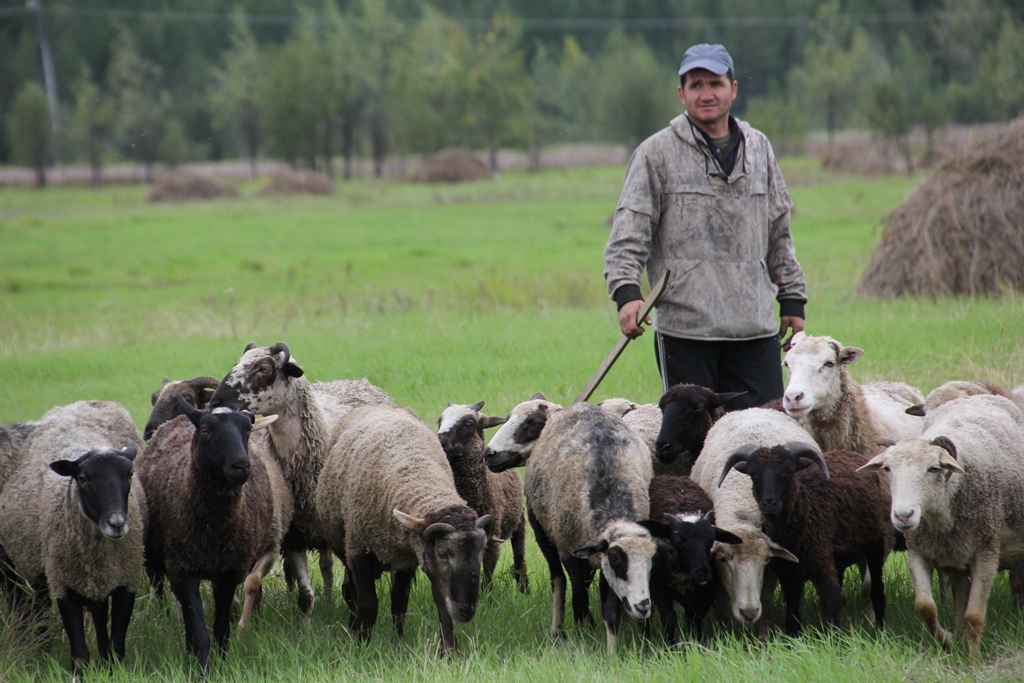 КХФ "Заречье"