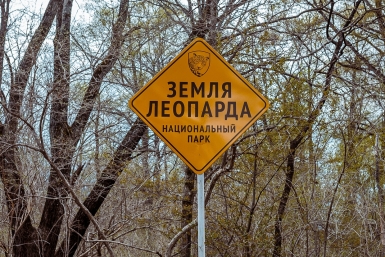 Национальный парк "Земля леопарда" - в гости к самой редкой кошке планеты