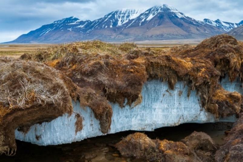 Вечная мерзлота http://arctic-centre.com/ru