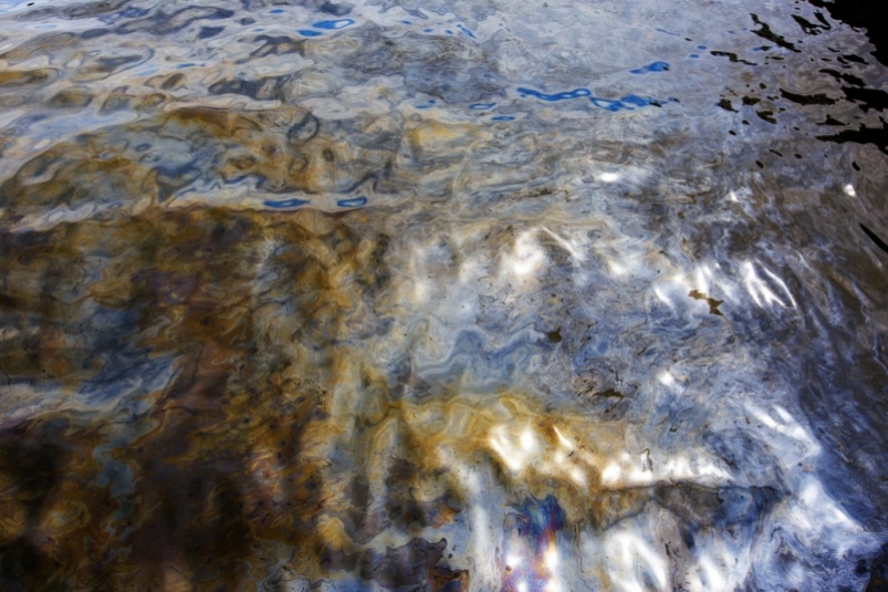 Нефтяное пятно Александр Хитров, ИА PrimaMedia