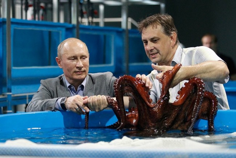 В.В. Путин Пресс-служба президента