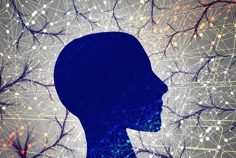 Тематическое фото pixabay.com