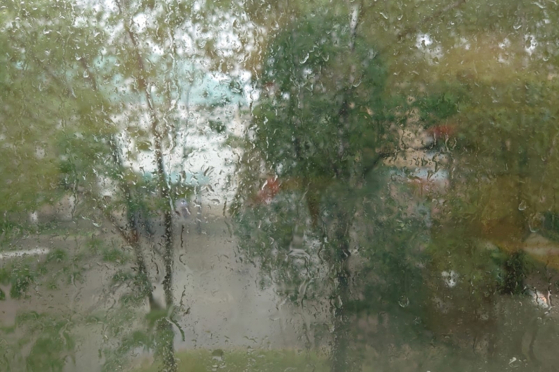 Похолодает там, где не ждали Ксения Письменова, ИА EAOMedia