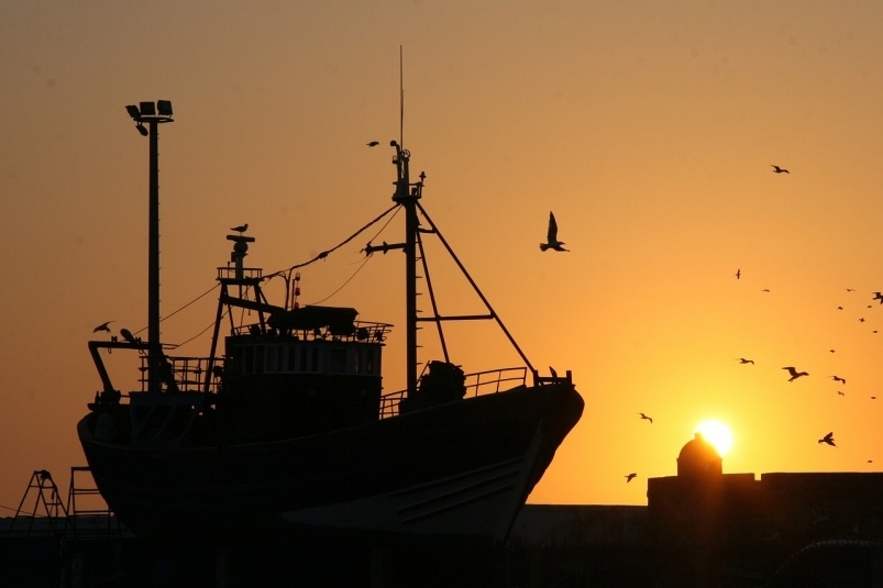 Морское рыболовство : https://pixabay.com
