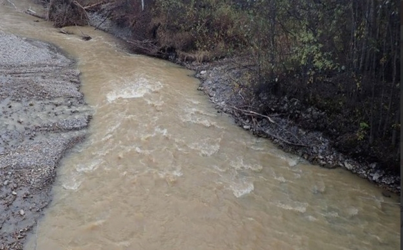 1,8 млн рублей за загрязнение реки взыскали с золотодобывающего предприятия в Приамурье Министерство природных ресурсов Амурской области