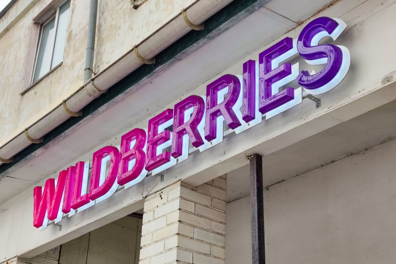 Wildberries запустит собственный бренд электроники и бытовой техники Илья Аверьянов, ИА PrimaMedia