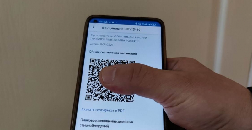 В Госдуме приняли решение о QR-кодах для россиян Марина  Померанцева , ИА EAOMedia