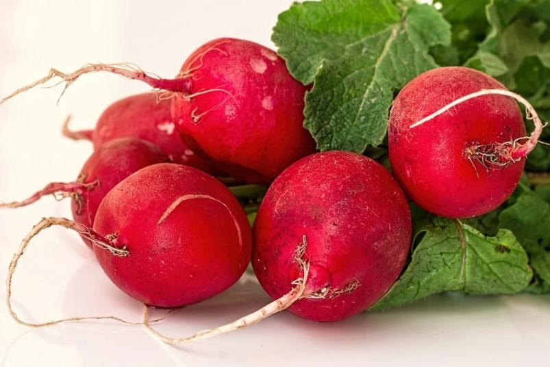 Редис https://pixabay.com/
