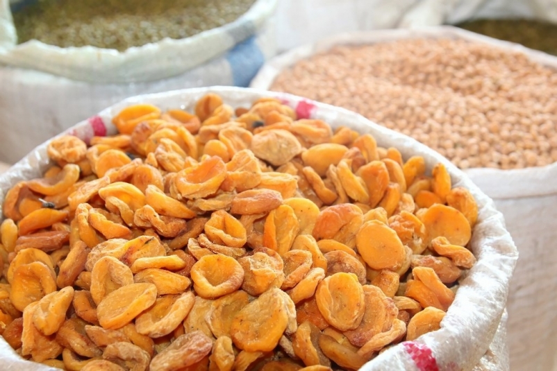 Курага Вероника Мурватова, UssurMedia