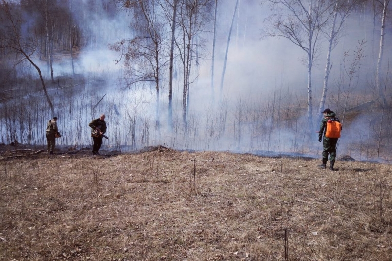 Тушение лесных пожаров в Иркутской области Пресс-служба правительства региона