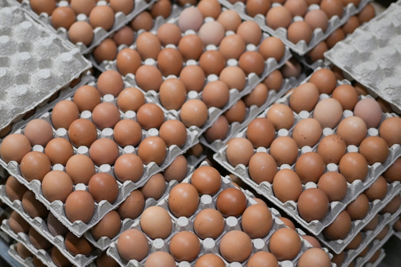 На Камчатке наблюдается благоприятная ситуация по стоимости и достаточности куриных яиц Официальный сайт Камчатского края