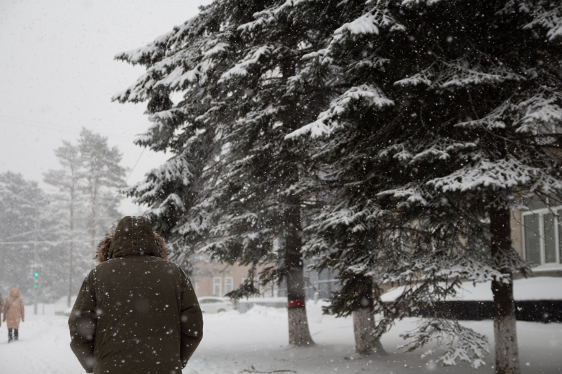 Обнародовано число пострадавших из-за снегопада в Краснодаре Владислав Беляцкий, ИА SakhalinMedia