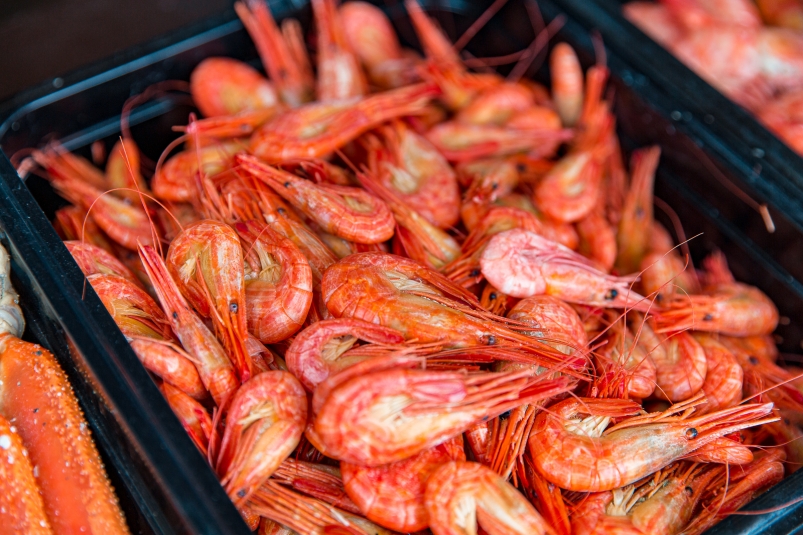 Креветка Илья Аверьянов, ИА PrimaMedia