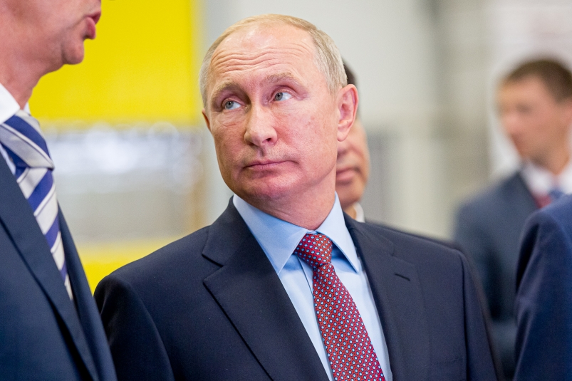 Владимир Путин Мария Смитюк, ИА PrimaMedia